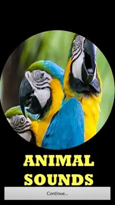 Animal Sounds android App screenshot 9