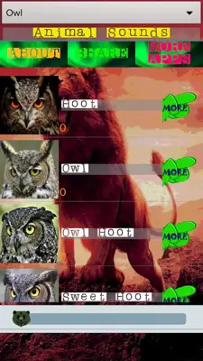 Animal Sounds android App screenshot 13