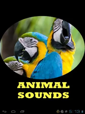 Animal Sounds android App screenshot 2